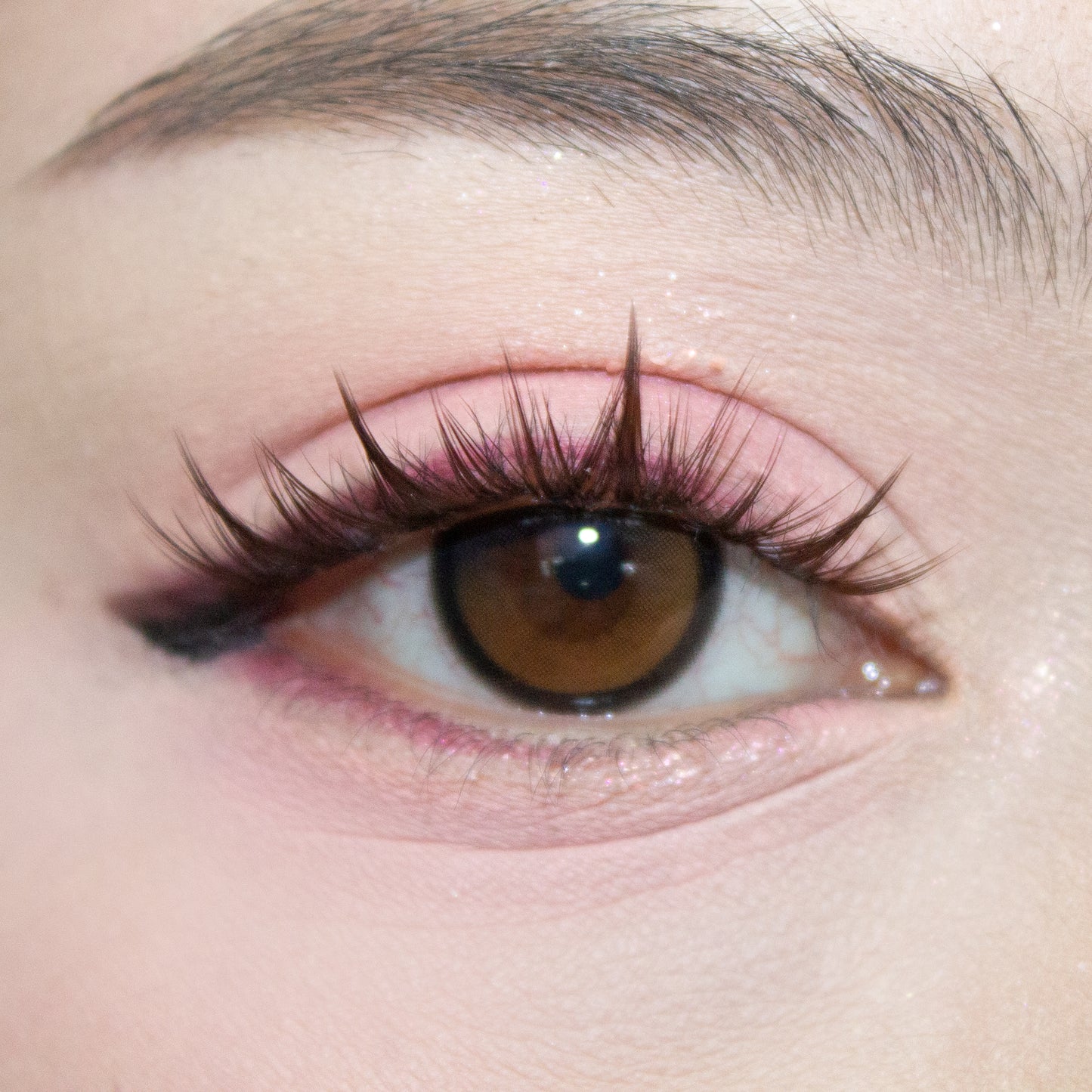 Brown Sugar Cluster Manhua Lashes