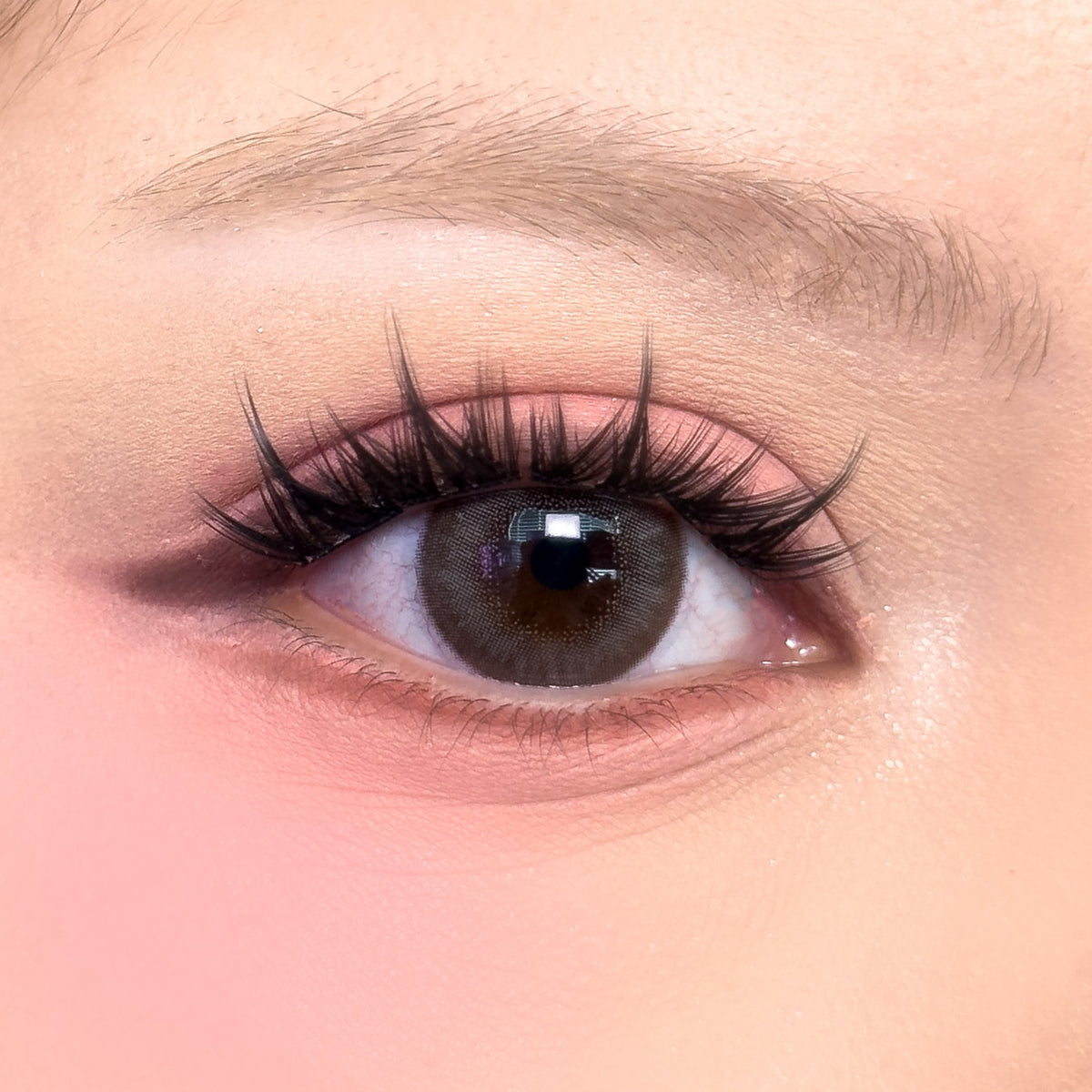 Berry Picnic Manhua Lash Clusters
