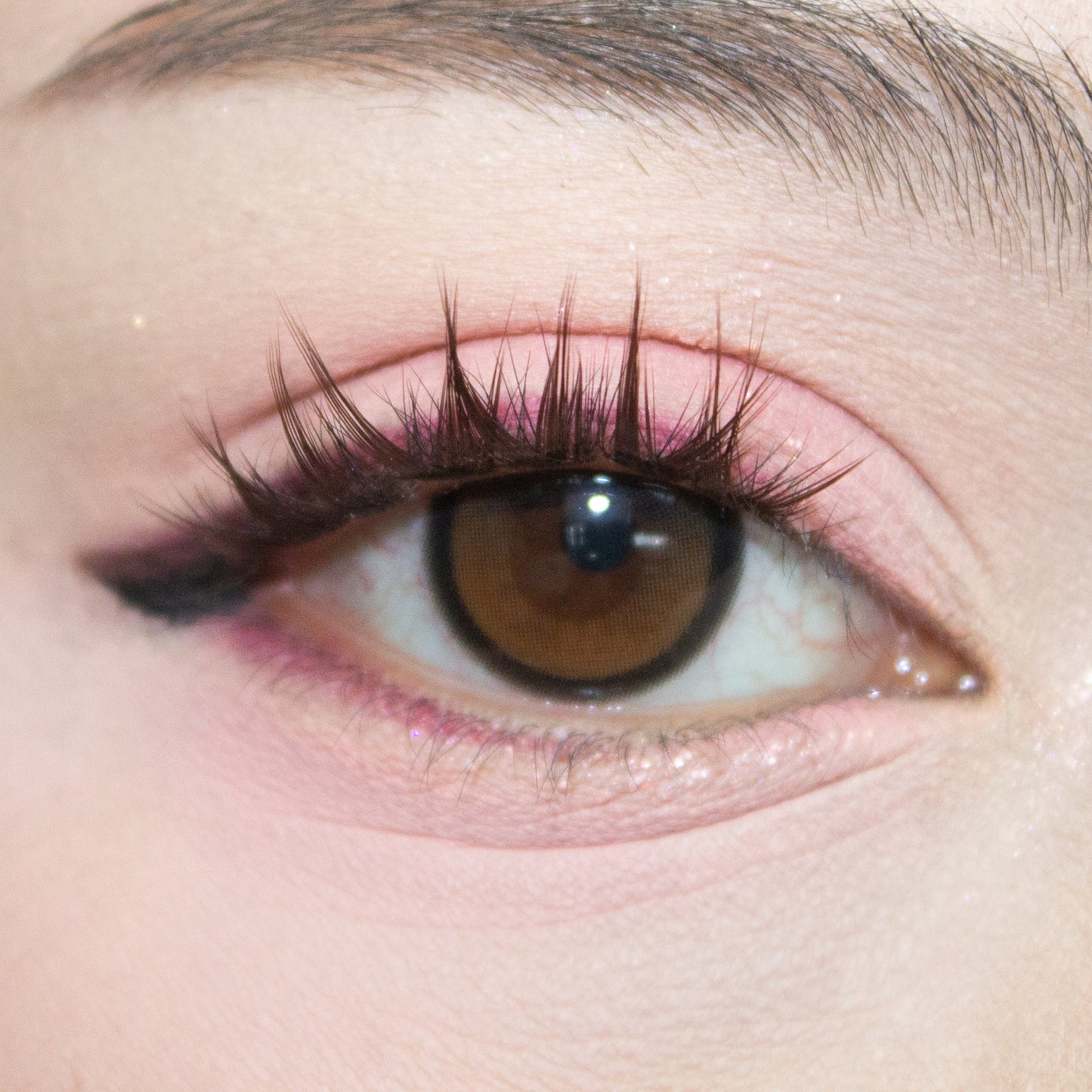 Brown Sugar Cluster Manhua Lashes