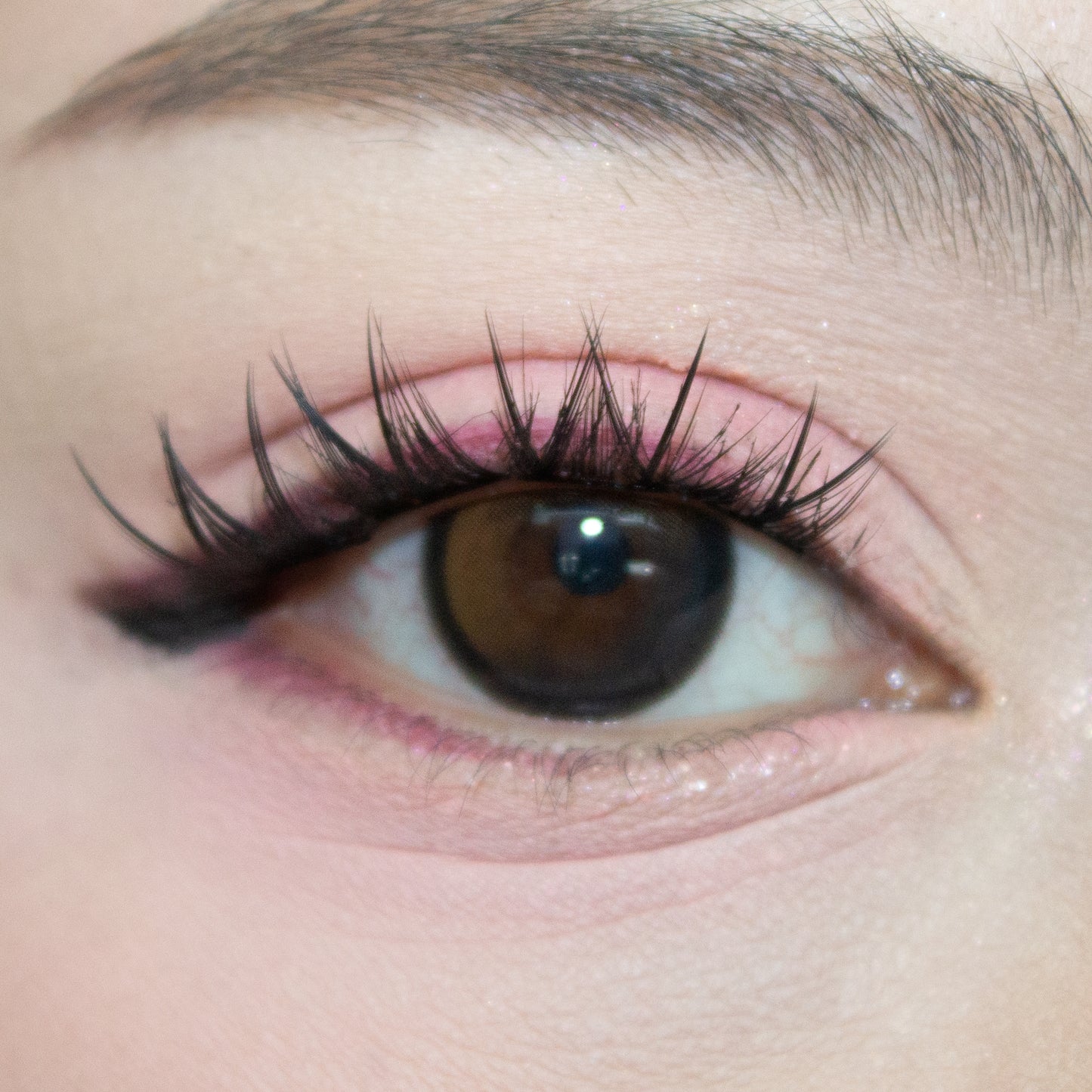 Berry Picnic Manhua Lash Clusters