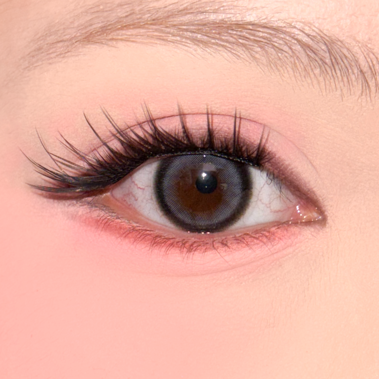 Kawaii Kitty Foxy Pre Glue Lashes