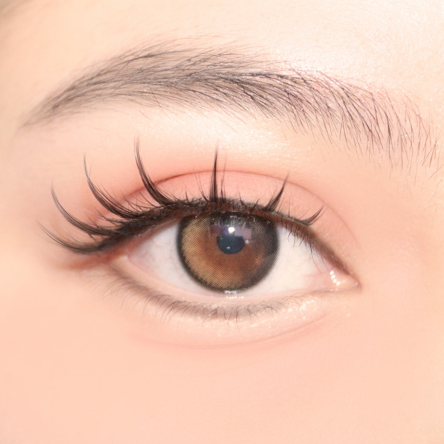 Fresh Berry Lash Strips Valerie